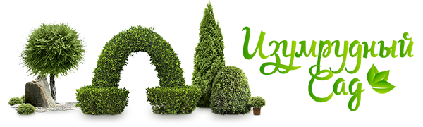 Изумрудный сад ❀ Logo
