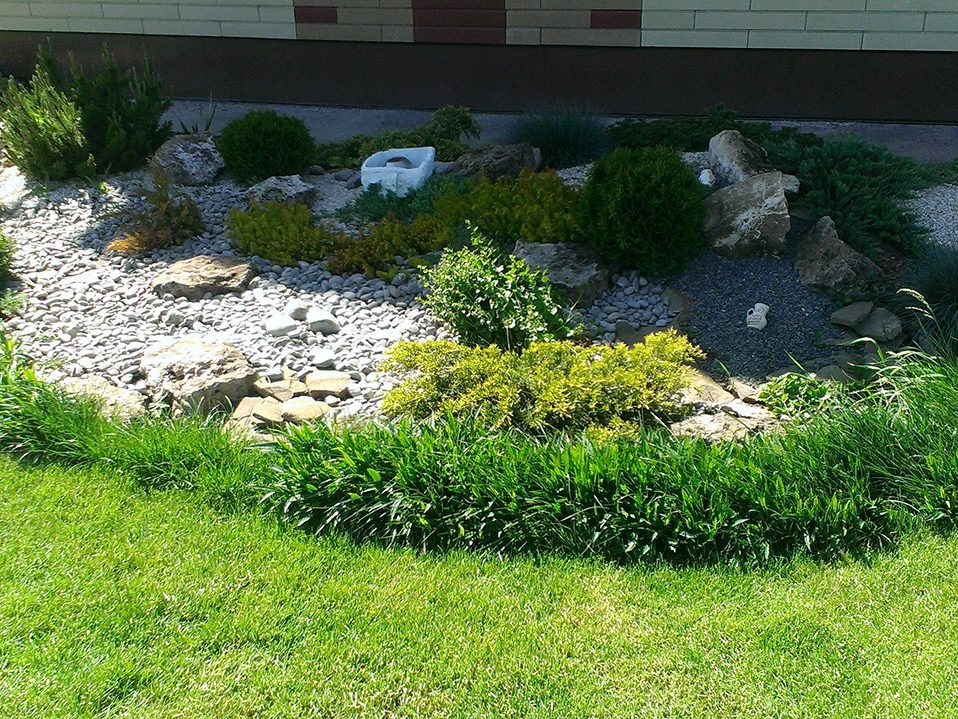 Ландшафтный-дизайн-под-ключ-ассортимент-хвойных